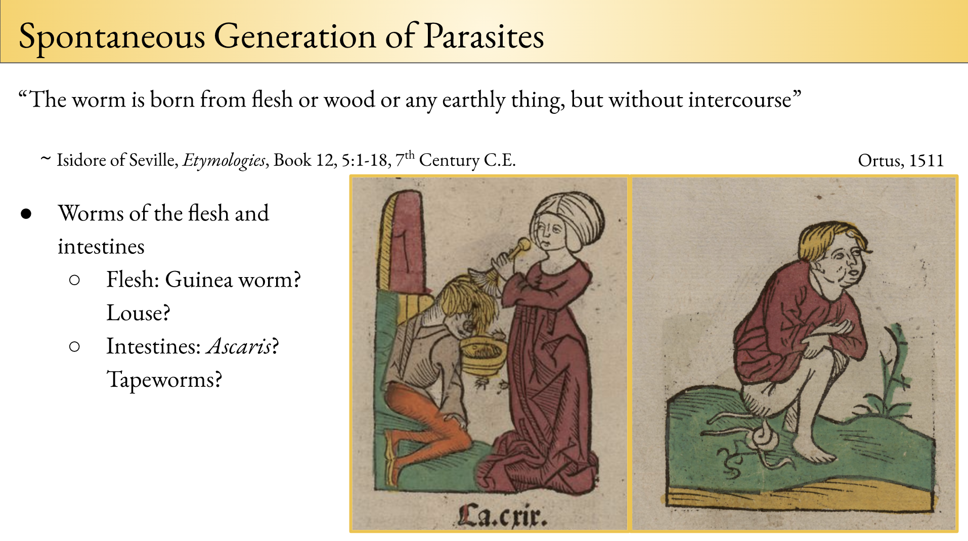 bestiary parasites